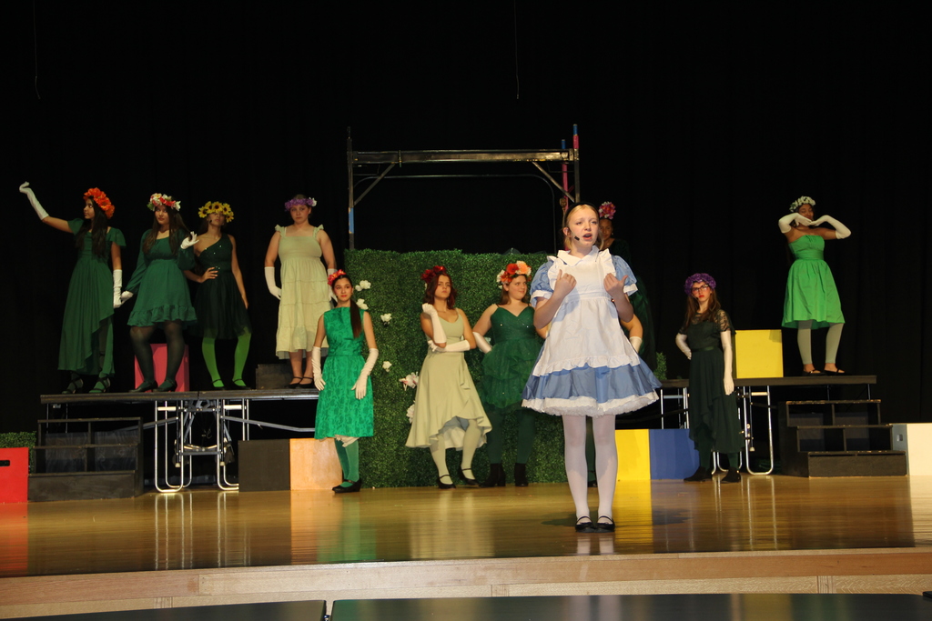 ljh musical alice in wonderland jr.