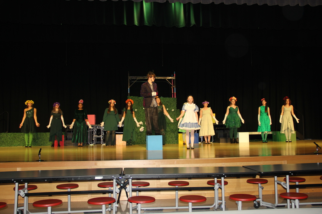 ljh musical alice in wonderland jr.