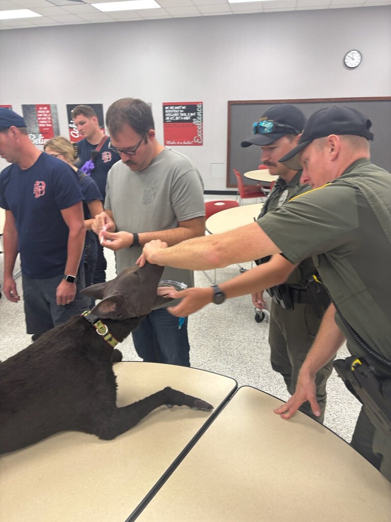 k9 training at phs