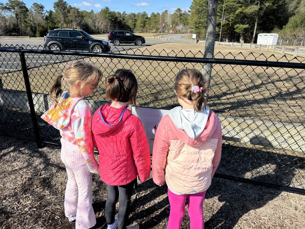 South Elementary News 