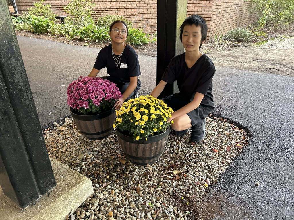 Students planted mums around the campus at Plymouth Community Intermediate School.