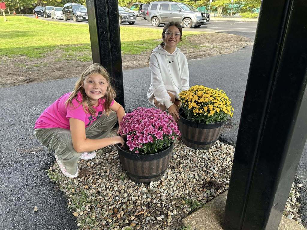 Students planted mums around the campus at Plymouth Community Intermediate School.