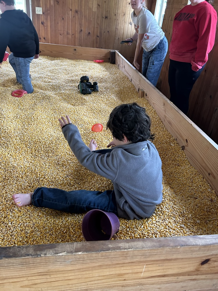 kindergarten field trip