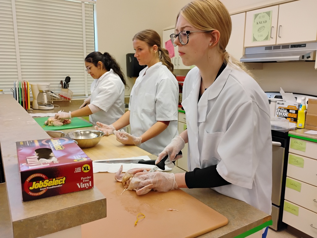 students fabricate chicken