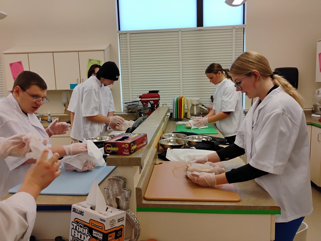 students fabricate chicken