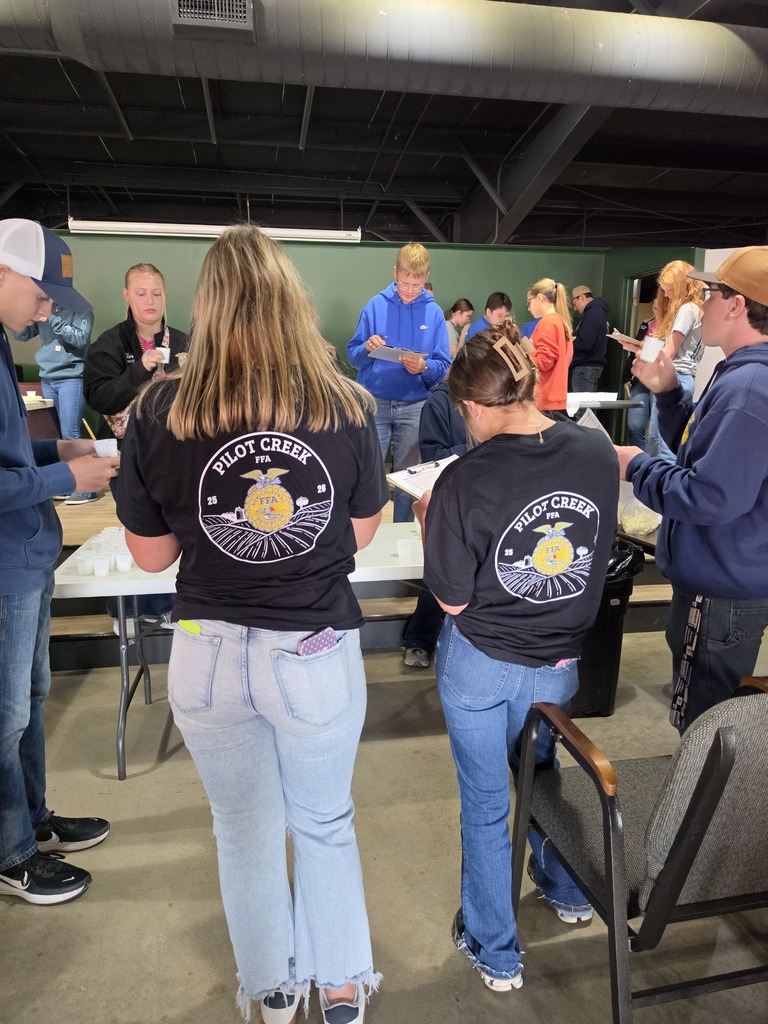 Judging at Clay County Fair