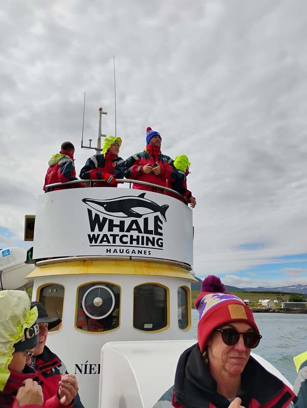 Atop a whale watching boat
