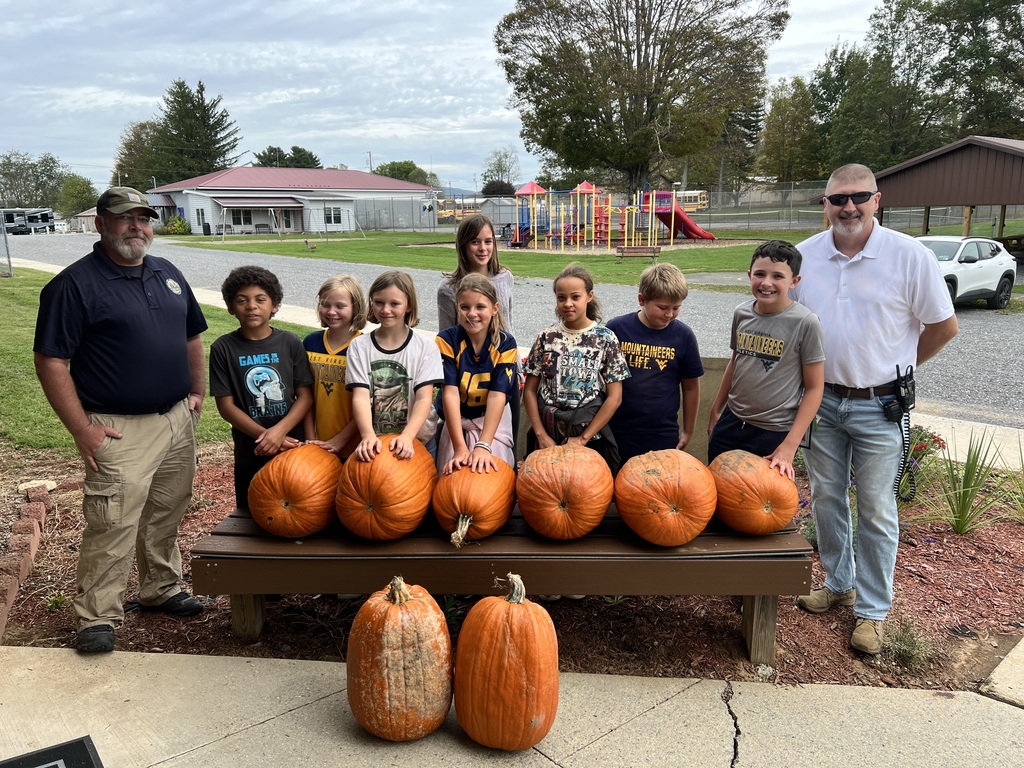 Pumpkins