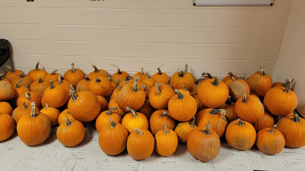 pumpkins