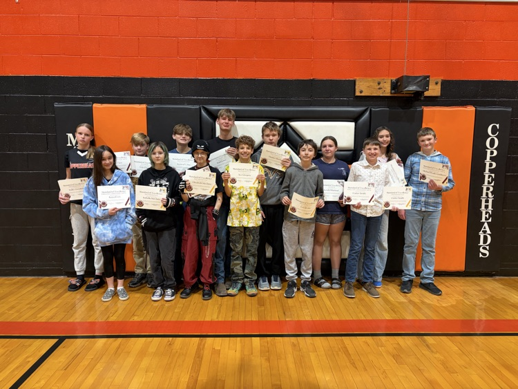 standards of excellence