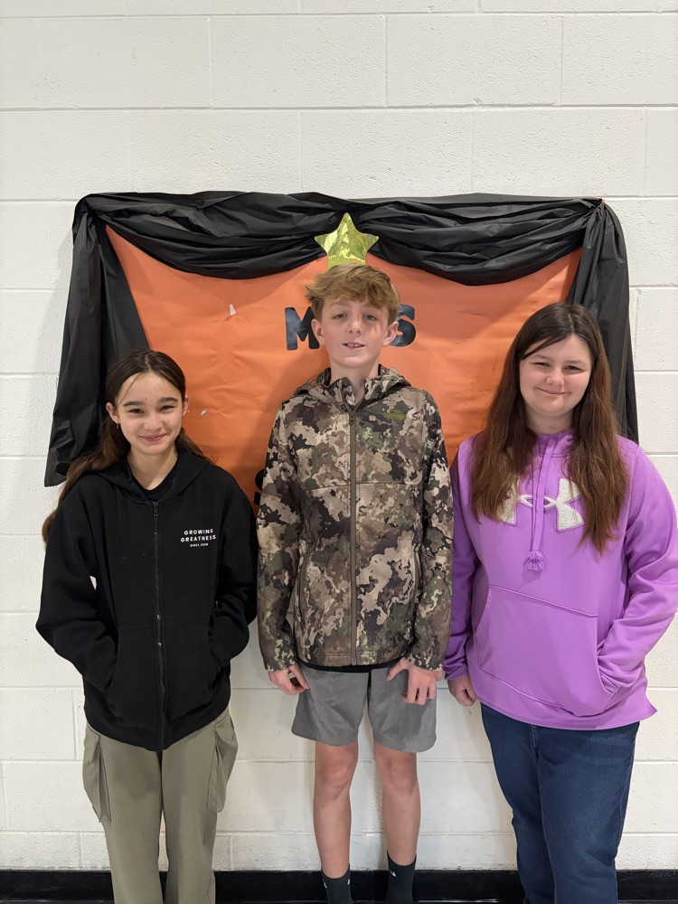 regional social studies fair