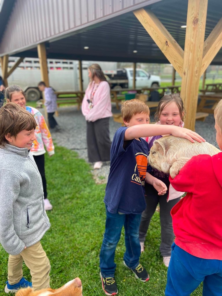 Petting zoo