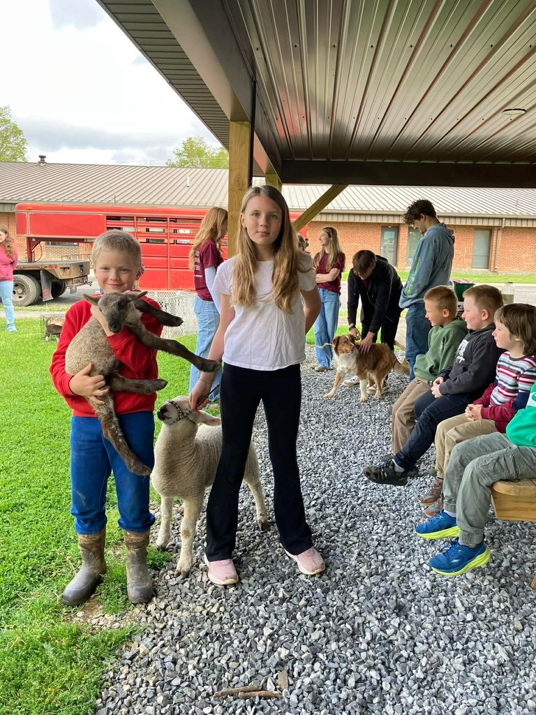 Petting Zoo