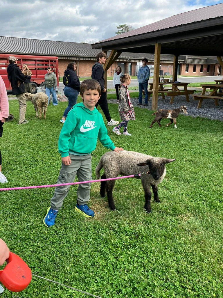 Petting Zoo