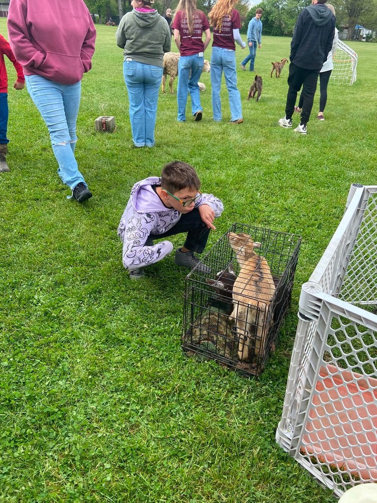 Petting Zoo