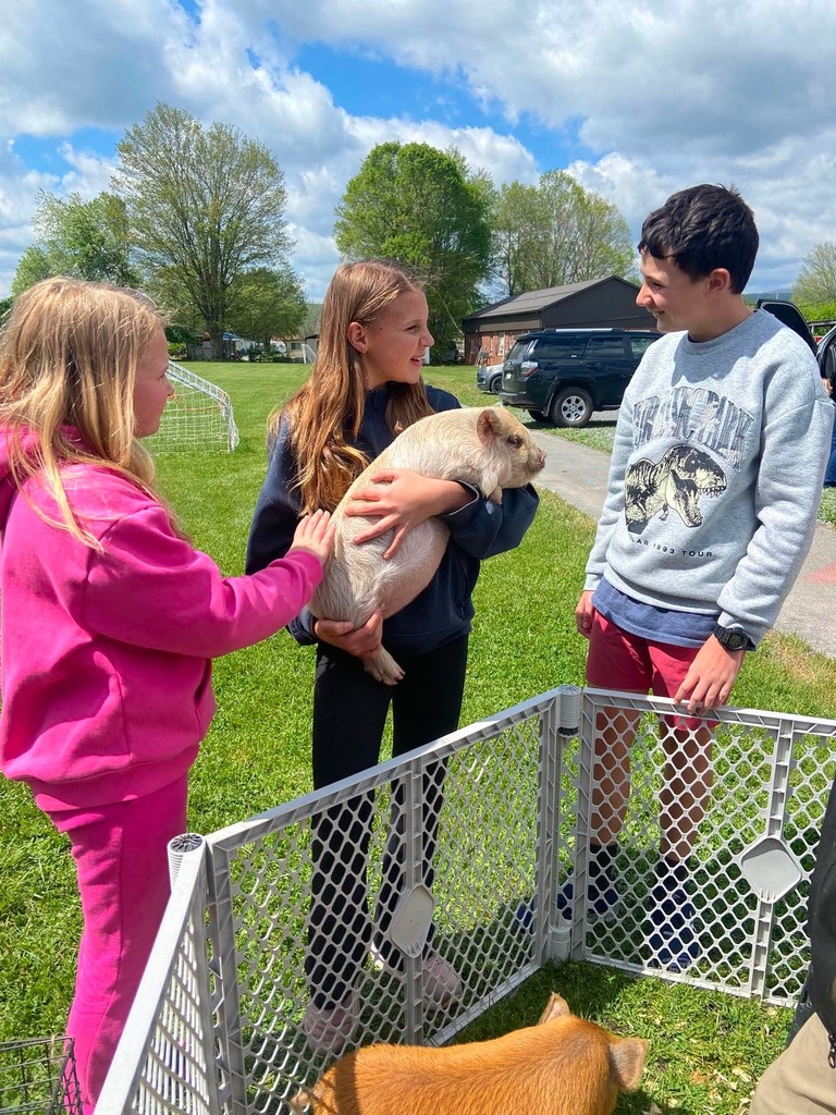 Petting Zoo