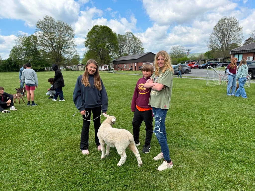 Petting Zoo