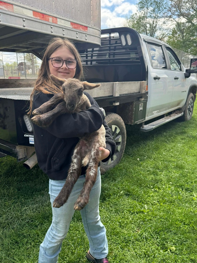 Petting Zoo