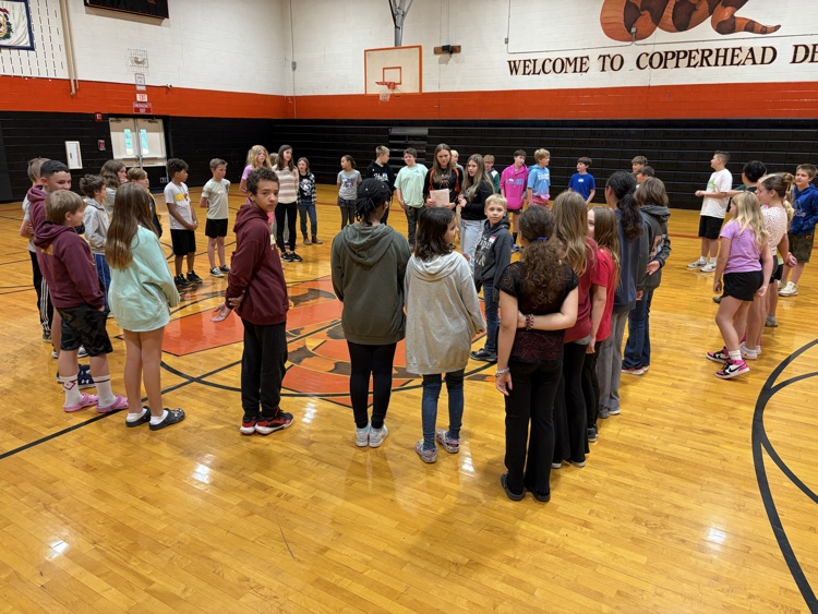 whole group activity