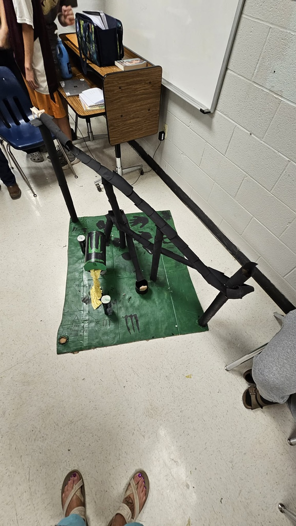 roller coaster created by 8th graders at mms 