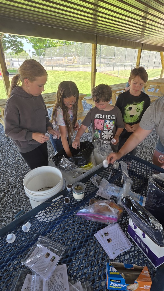 STEM Day