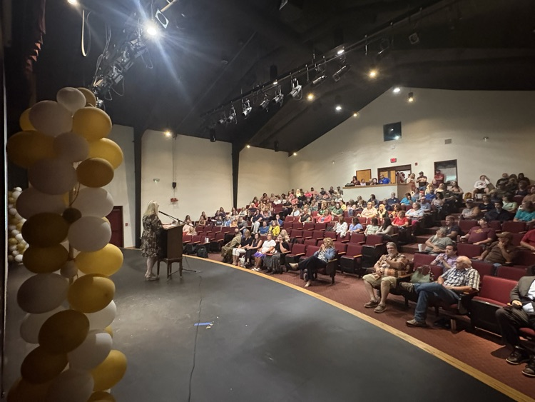 audience 