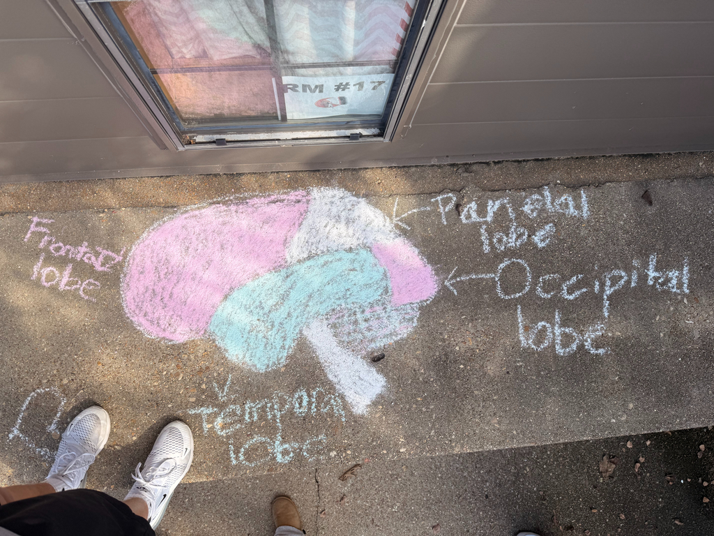 What is the proposed building project?