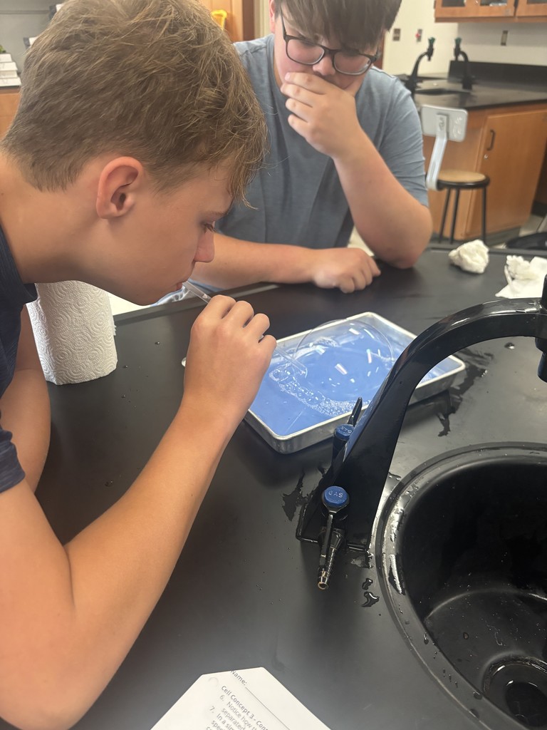 What is the proposed building project? 