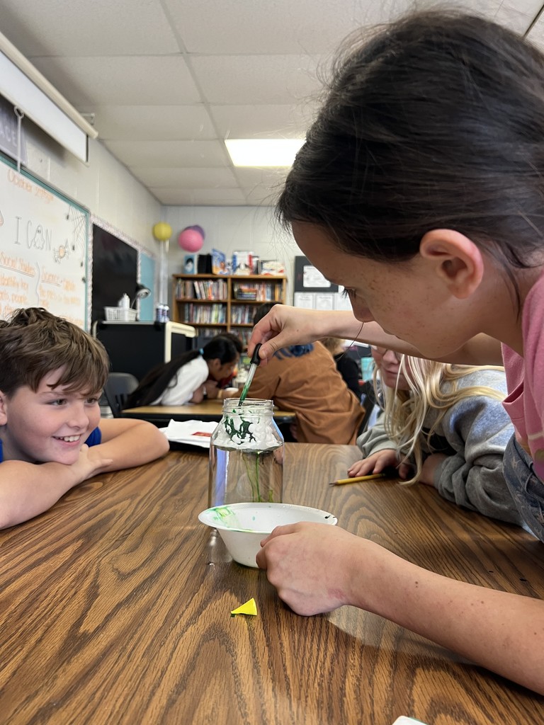 What is the proposed building project? 