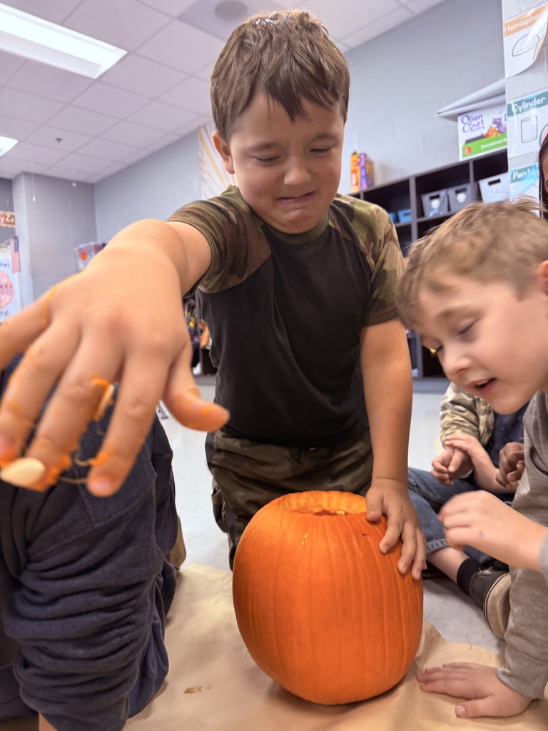 What is the proposed building project?