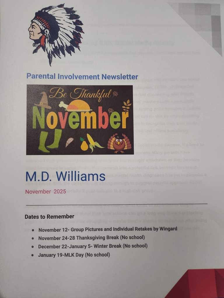 newsletter 