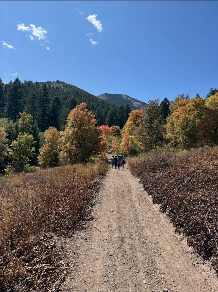 Third Fourth Camping