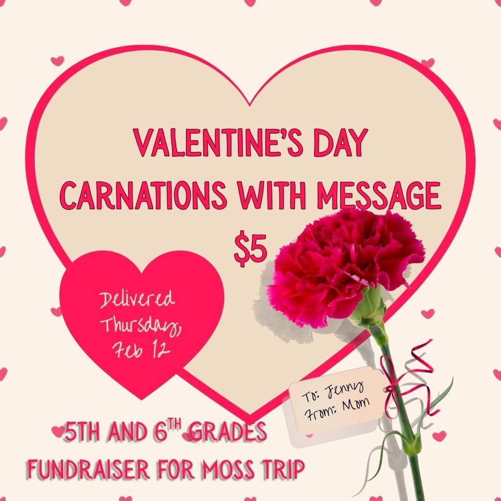 Carnations with message for $5