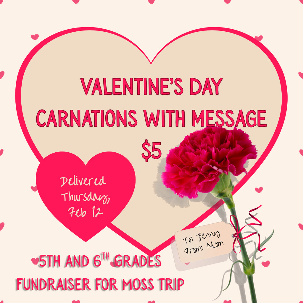 Carnation Fundraiser