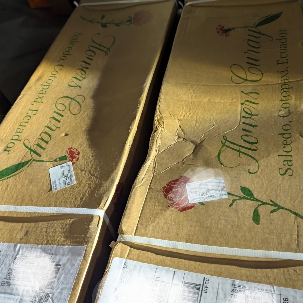 boxes of flowers