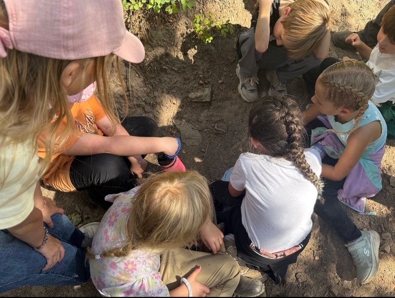 Griggs Crew Camping: Grit, Giggles, and Caterpillars