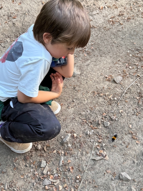 Griggs Crew Camping: Grit, Giggles, and Caterpillars