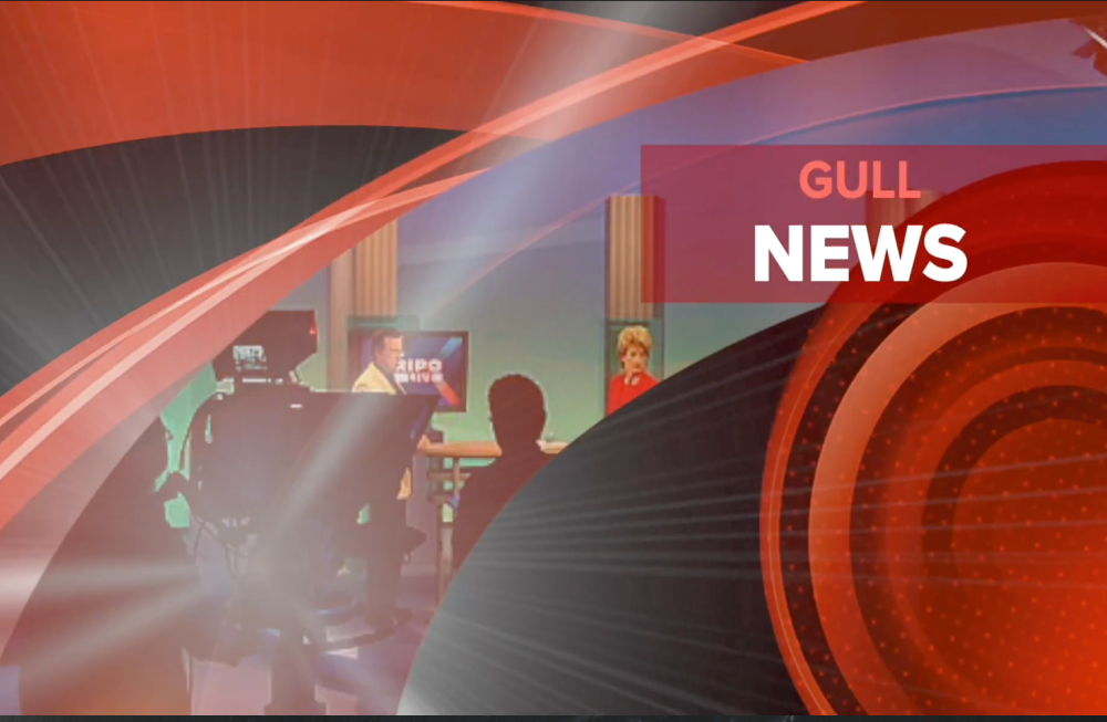 Gull News