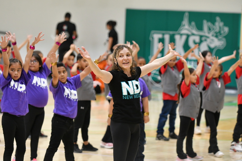 NDI performance