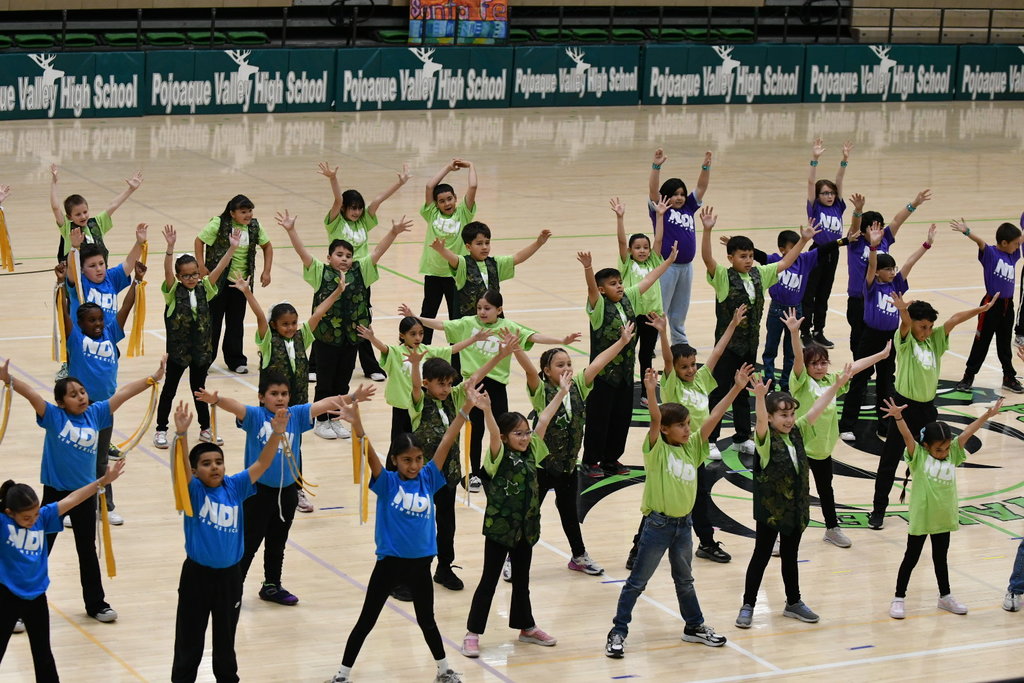 NDI performance