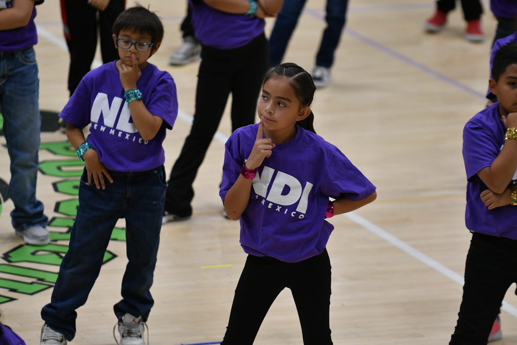 NDI performance