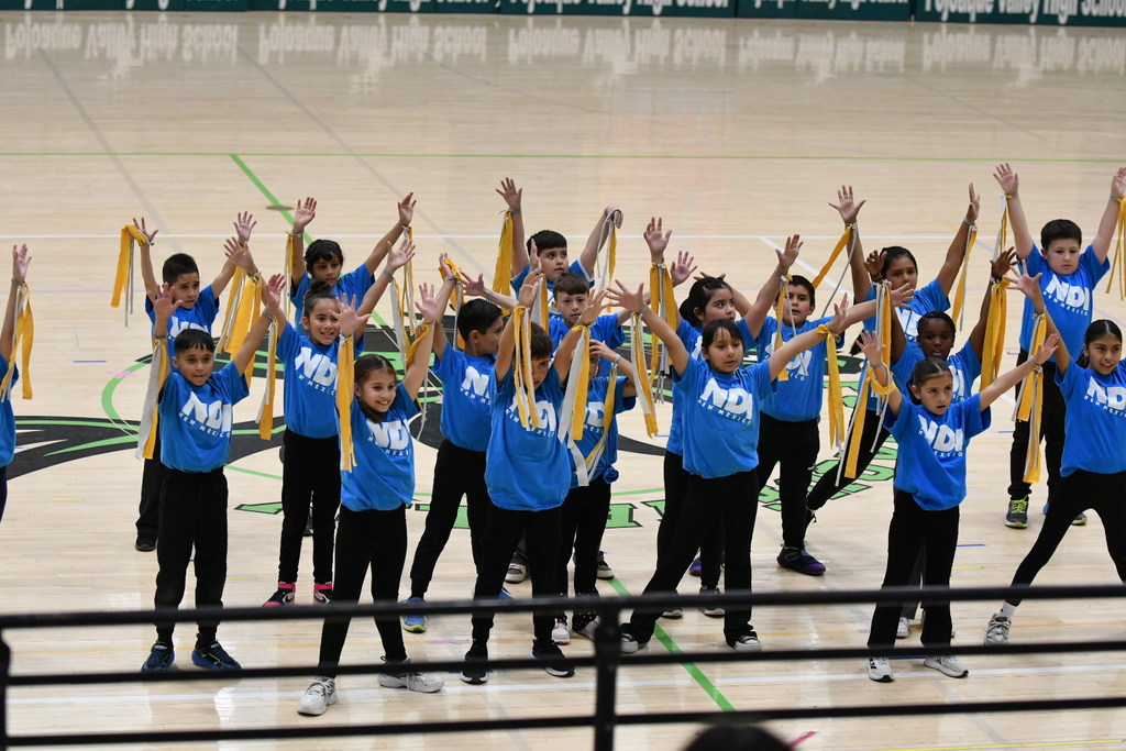 NDI performance