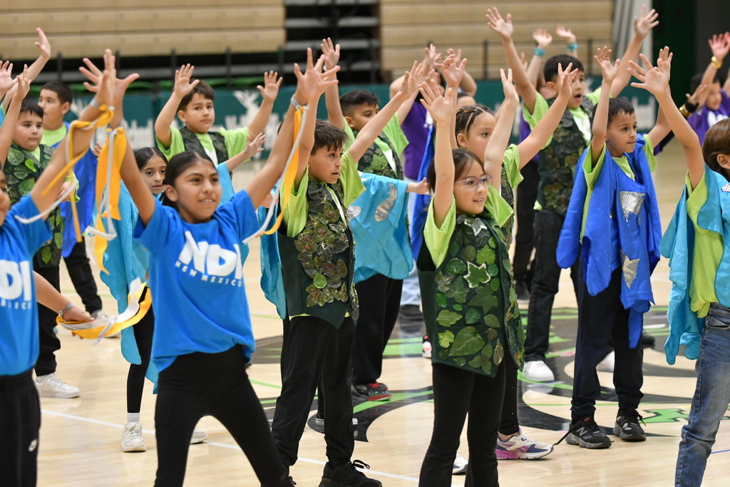NDI performance