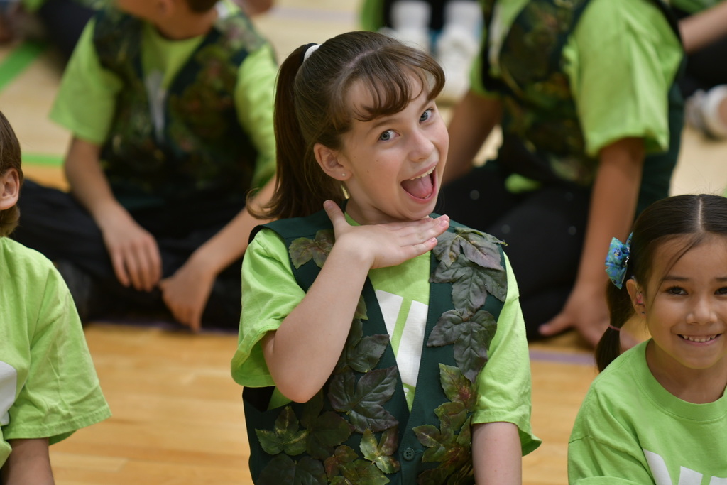 NDI performance