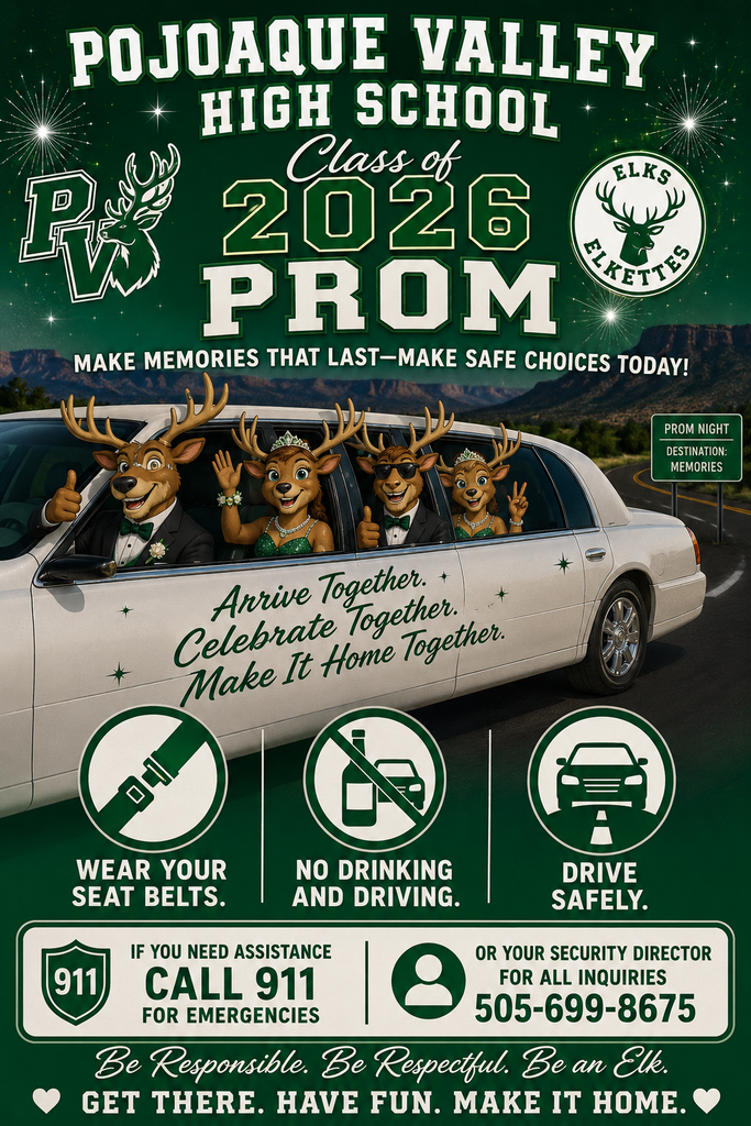 Prom Safety Poster