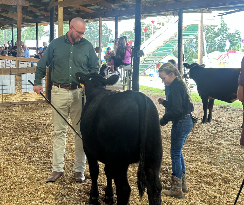 Eastside principal teaching a student how to show cow.