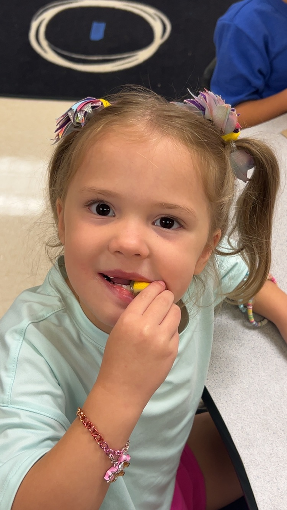 Pre k discovering the 5 senses 