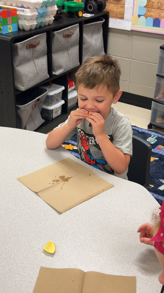 Pre k discovering the 5 senses 