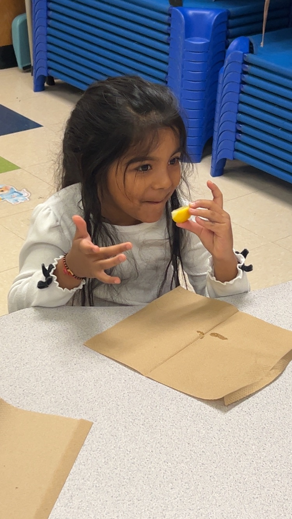 Pre k discovering the 5 senses 