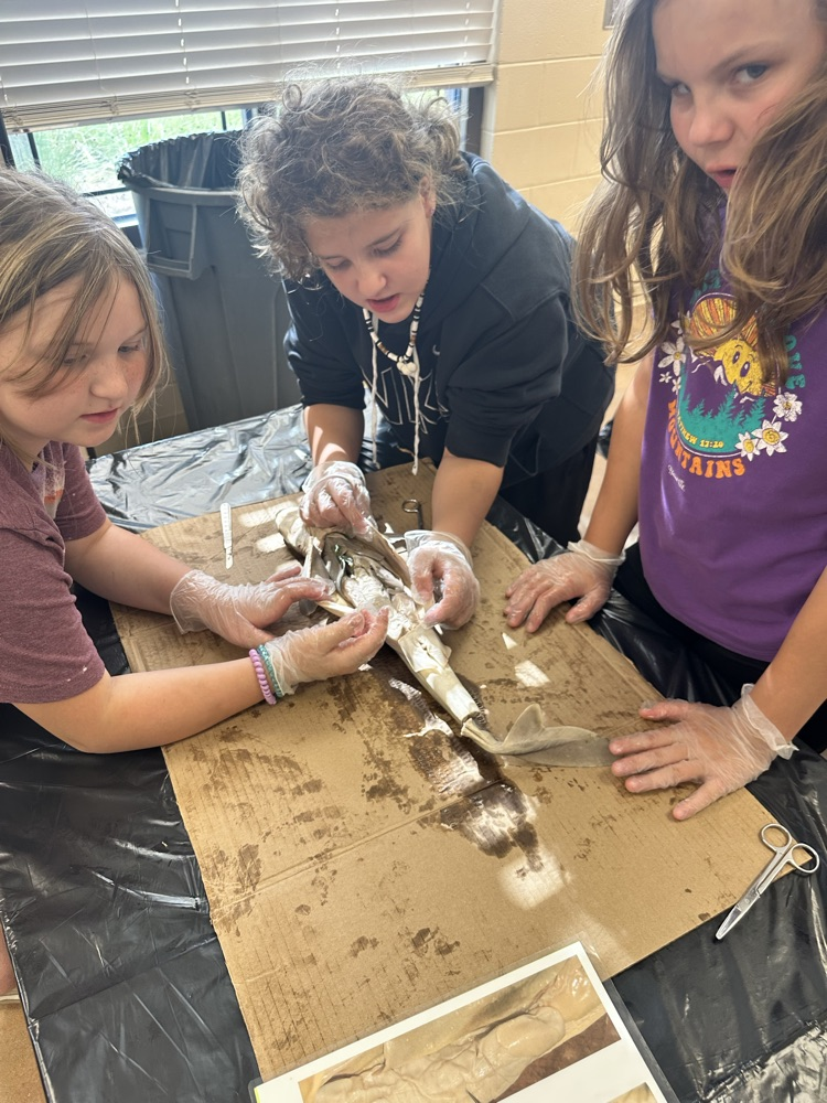 Mrs. Morris’s pep students exploring Jykell Island GA for a field trip. 